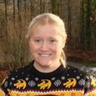 Hayley williams image