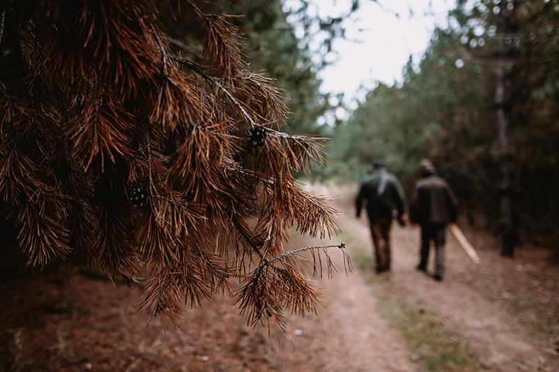 two men walking in the forest